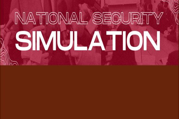 National Security Simulation