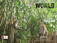 Autumn 2013 newsletter cover - link to .pdf copy of newsletter.