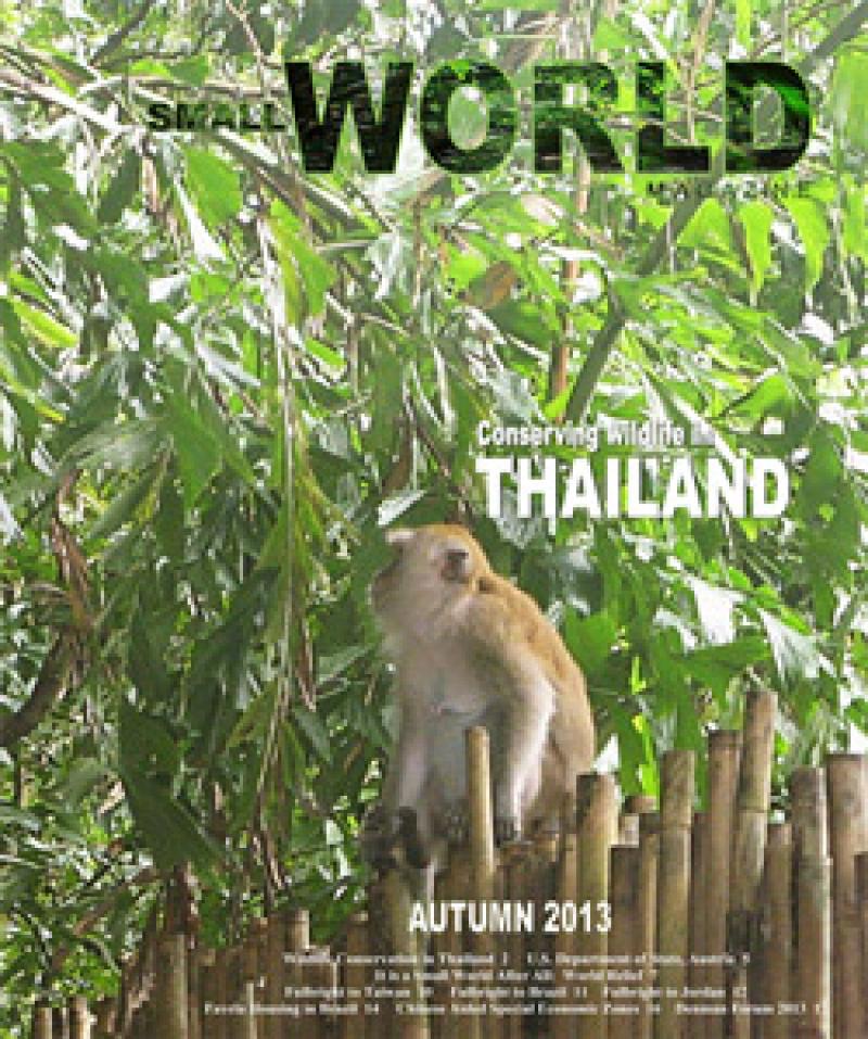 Cover of the Autumn 2013 issue of Small World Magazine.