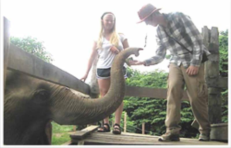 Andrew Greene feeds an elephant.