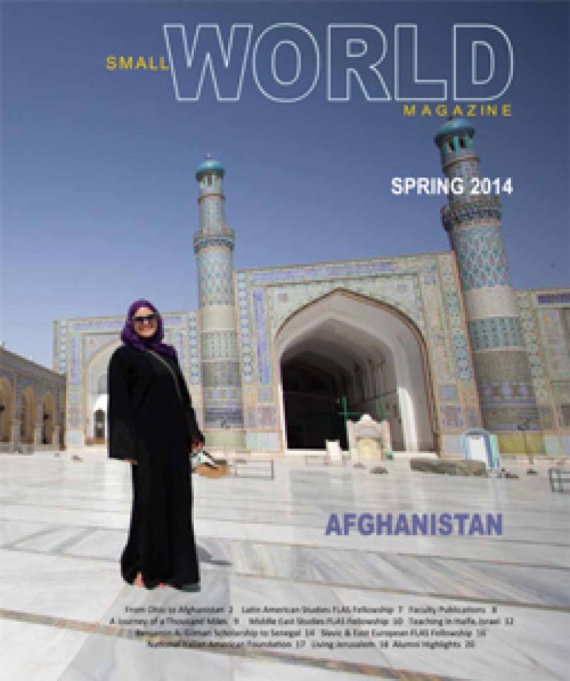 Cover image of the Spring 2014 issue of Small World Magazine.