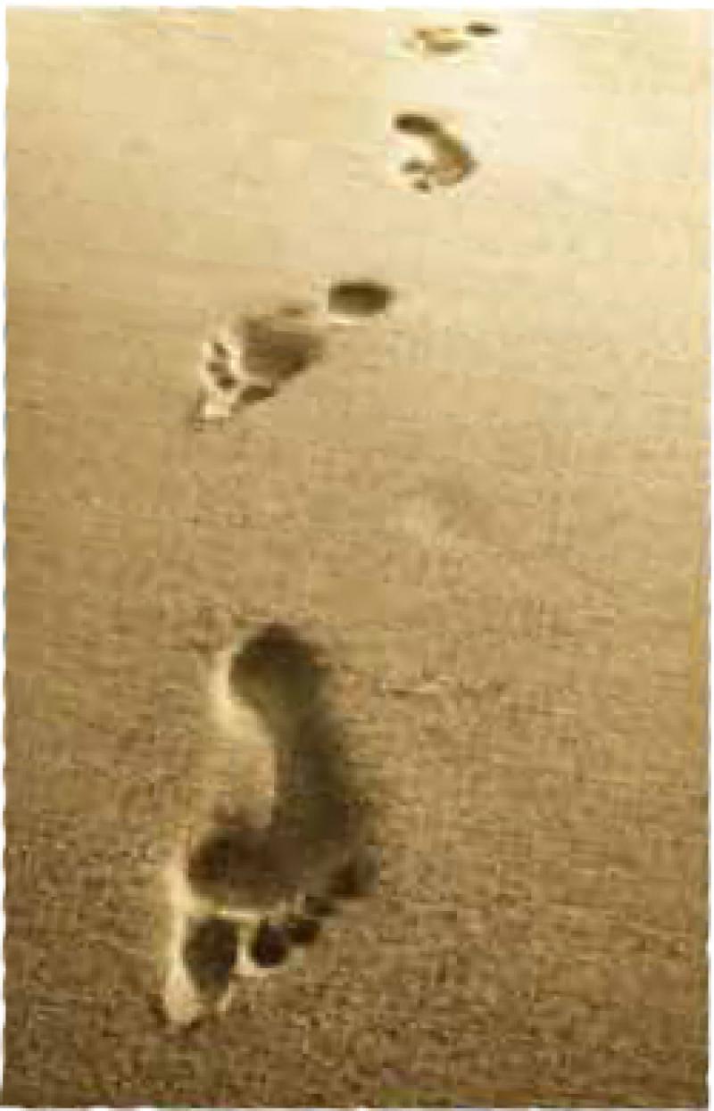 Footsteps in the sand.