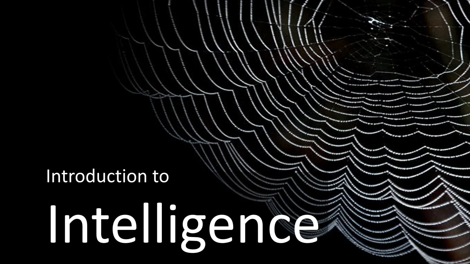 International Studies 3700 Introduction to Intelligence icon