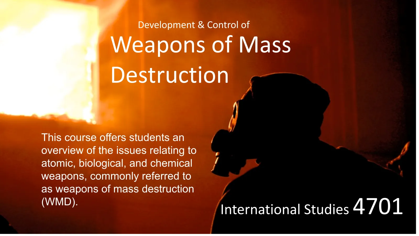 Development and Control of Weapons of Mass Destruction course flyer
