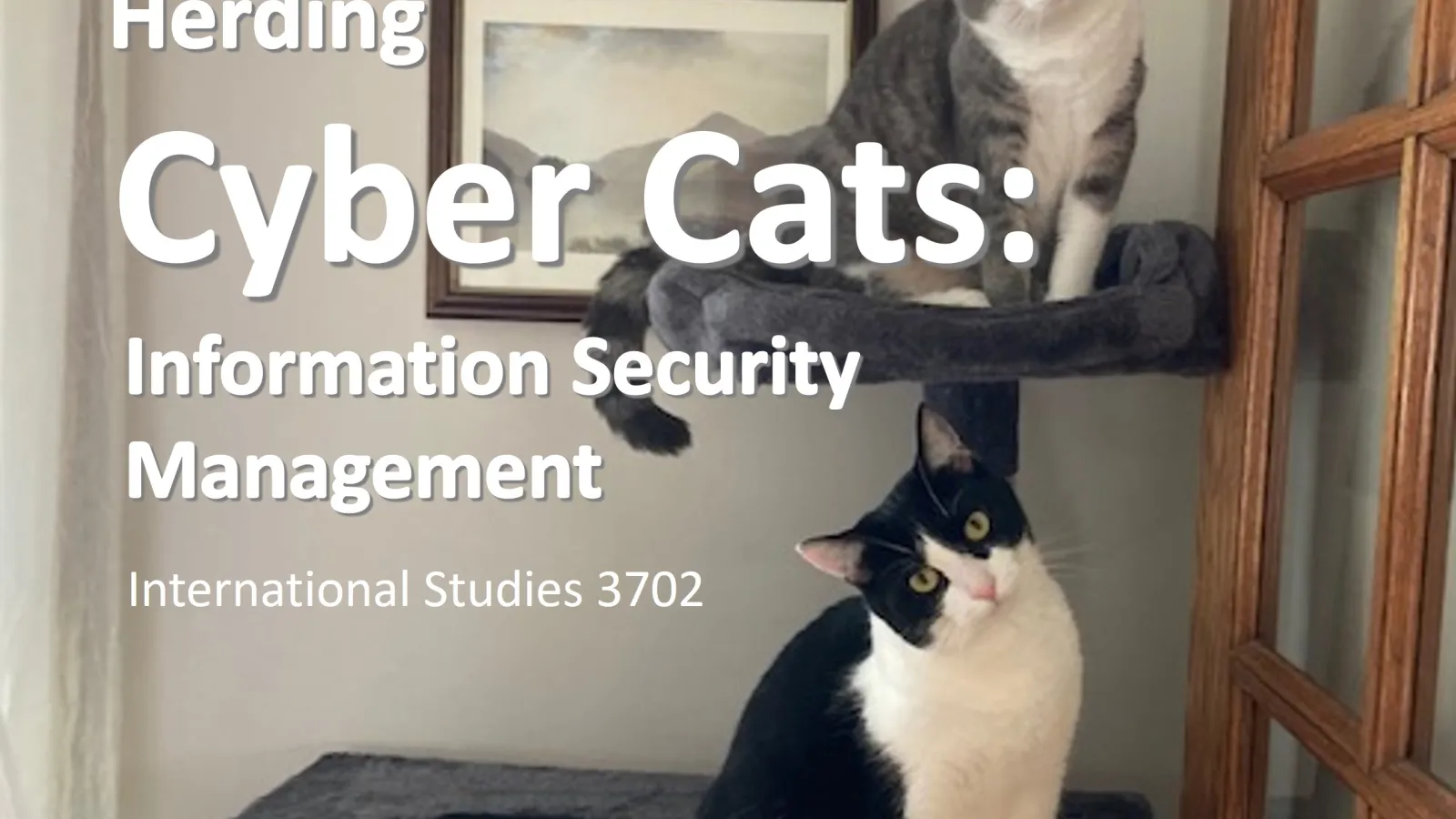Herding Cyber Cats Course Flyer Icon