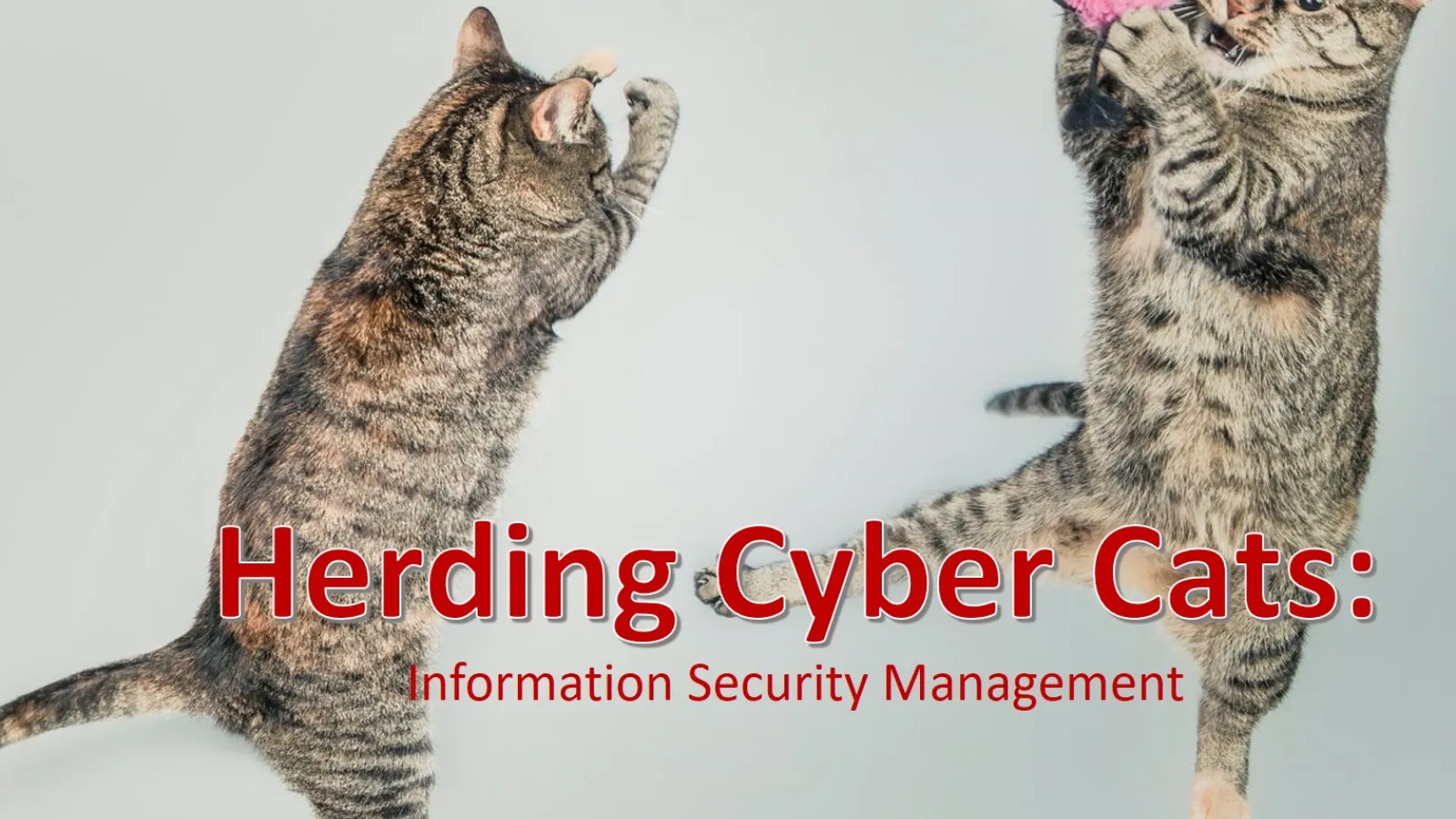 Herding Cyber Cats:  Information Security Management