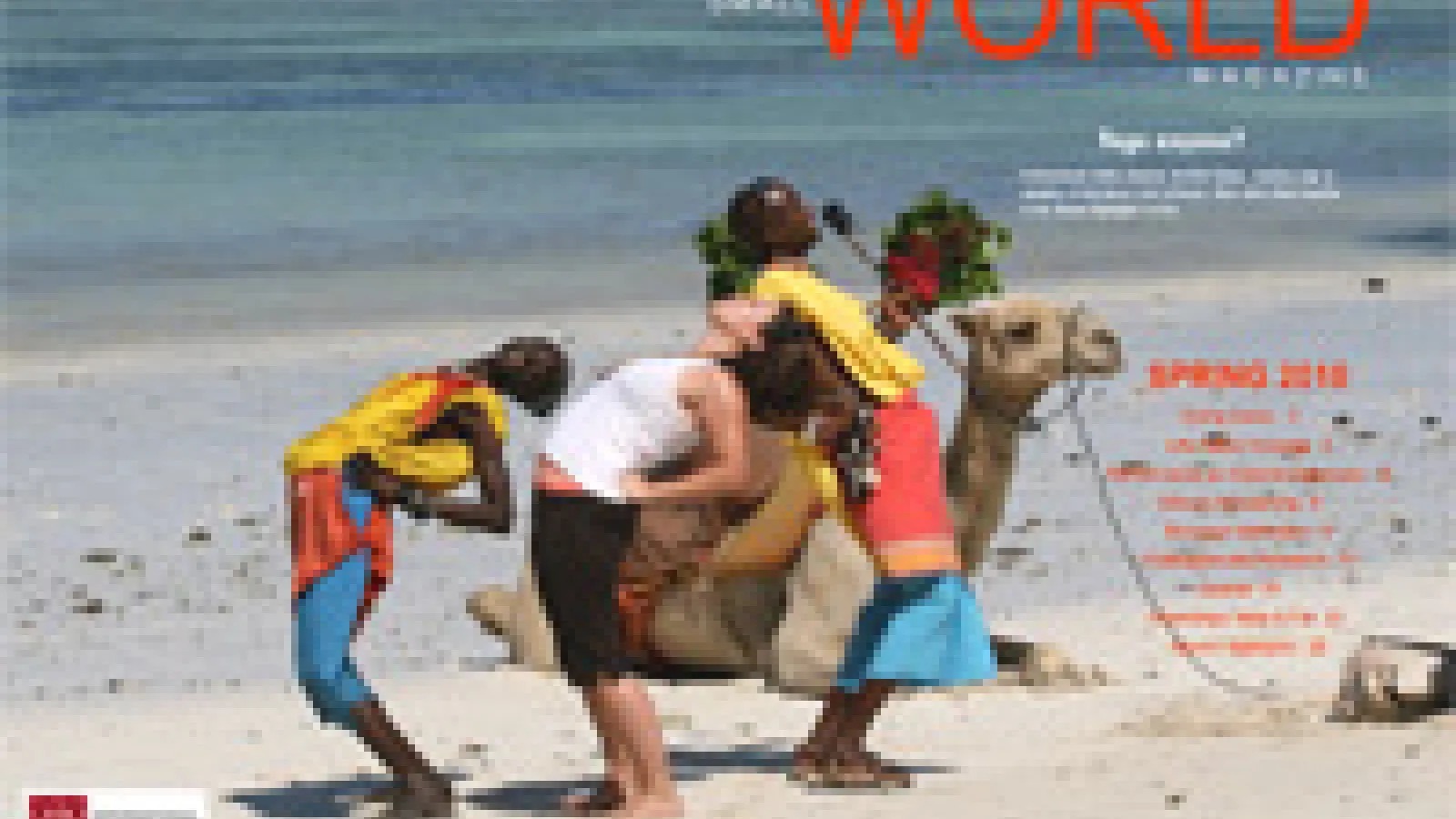 Spring 2010 cover of Small World Magazine.