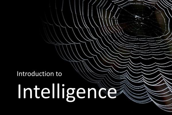 International Studies 3700 Introduction to Intelligence icon