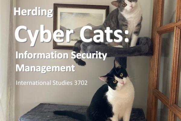 Herding Cyber Cats Course Flyer Icon
