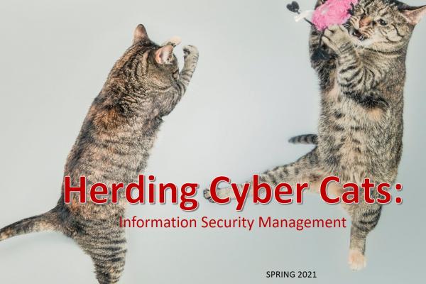 Herding Cyber Cats:  Information Security Management