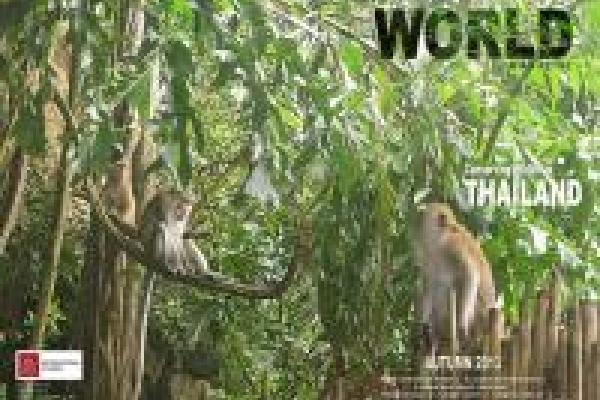 Autumn 2013 cover of Small World Magazine. Autumn 2013 cover of Small World Magazine.
