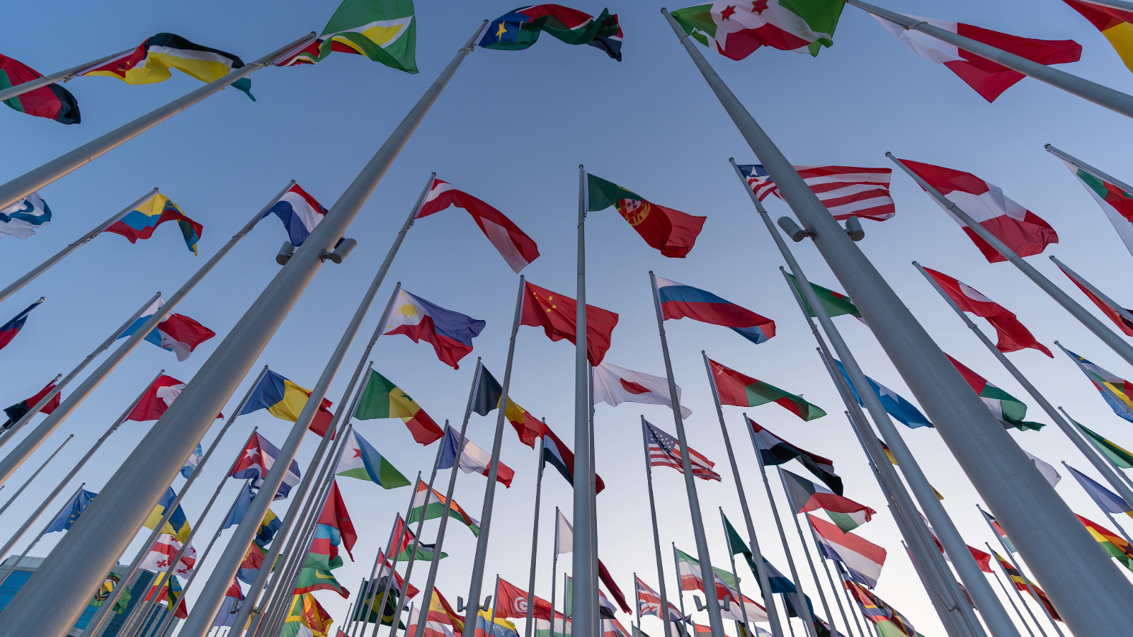 Flags of the United Nations flying