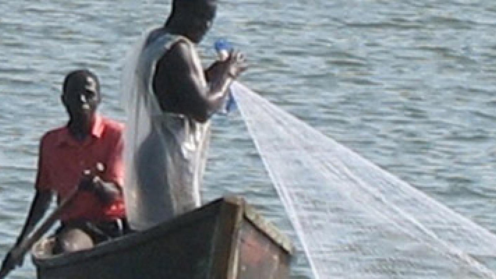 A pair of fisherman pull in their nets.